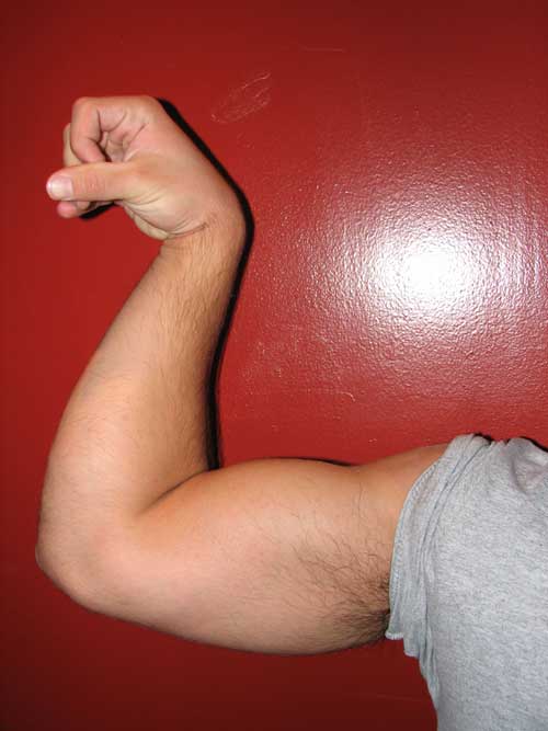 How to get bigger arms